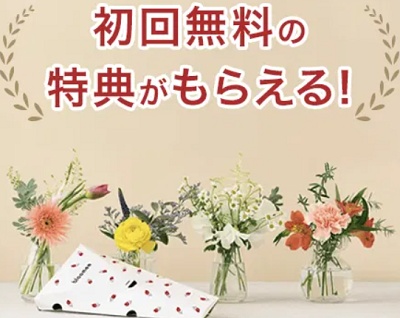 ブルーミー 初回無料キャンペーン