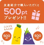 カインデスト友達紹介コード